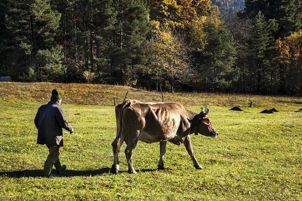 Fotografo Lago Maggiore 13